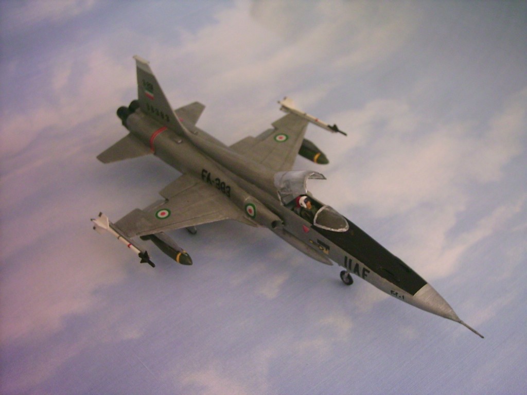 F-5A-Airfix-04