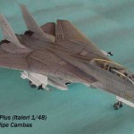 F-14A Tomcat Plus (1)