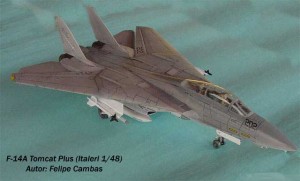 F-14A Tomcat Plus (1)