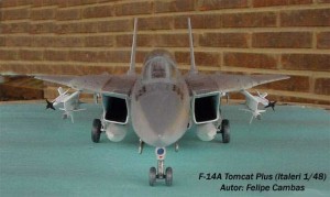 F-14A Tomcat Plus (2)