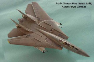 F-14A Tomcat Plus (3)