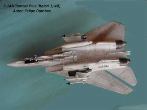 F-14A Tomcat Plus (6)