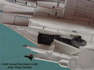 F-14A Tomcat Plus (7)