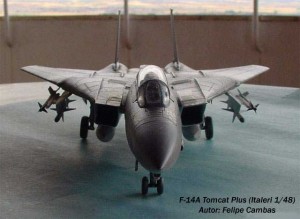 F-14A Tomcat Plus (8)