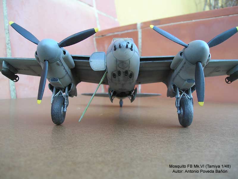 Mosquito 4