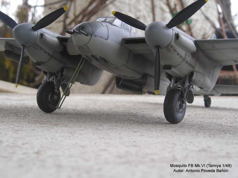 Mosquito 8