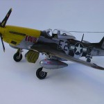 P-51D Mustang Hasegawa 1